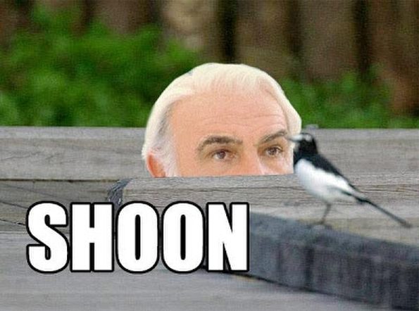 shoon-sean-connery