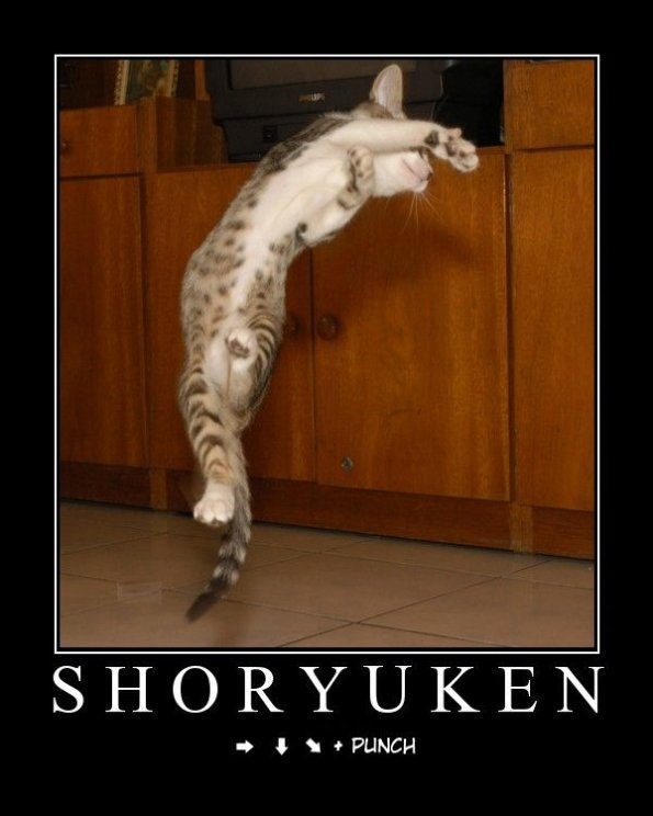 shoryuken