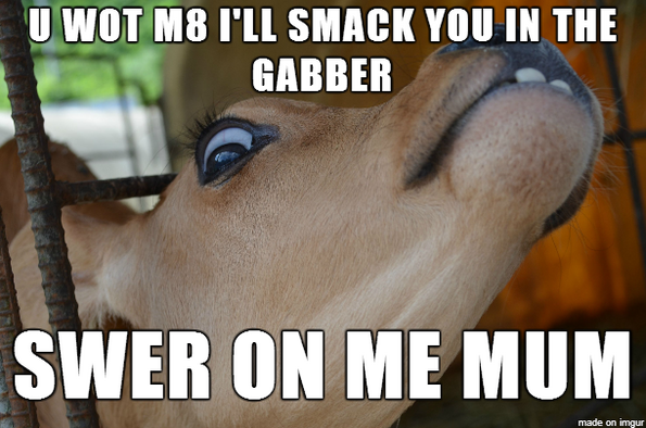 smack-gabber-mum