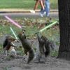 squirrels lightsabers