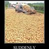 suddenly-potatoes