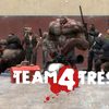 team4tress