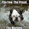 the-marines