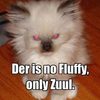 there-is-no-fluffy