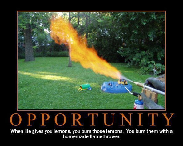 when-life-gives-you-lemons