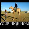 your-high-horse