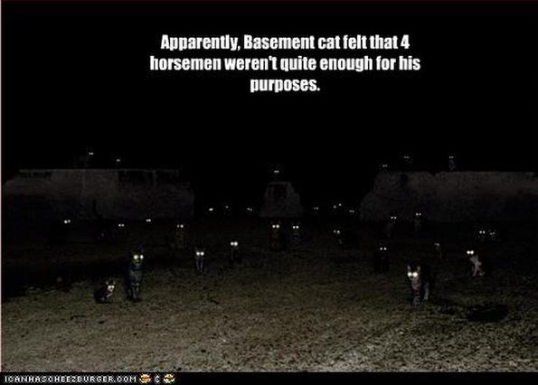 basement-cat-has-many-horsemen