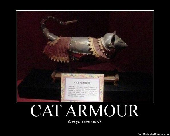 cat-armour