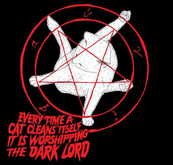 cat-clean-worship-dark-lord