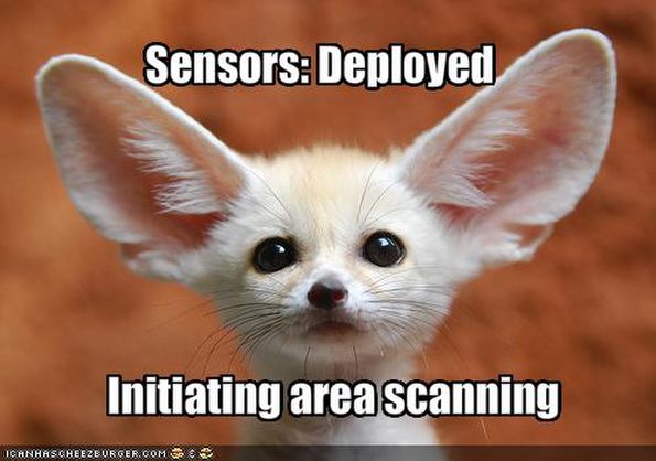 creature-deploys-its-sensors