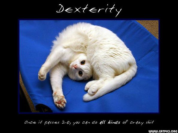 dexterity