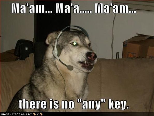 dog-find-the-any-key