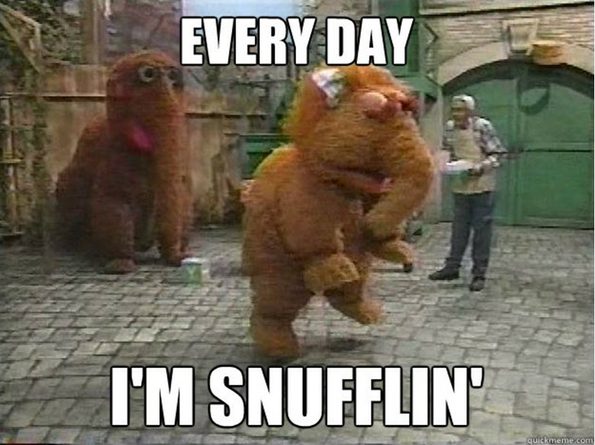 every-day-im-snufflin-shufflin
