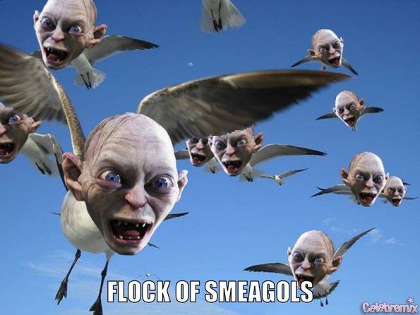 flock-of-smeagols