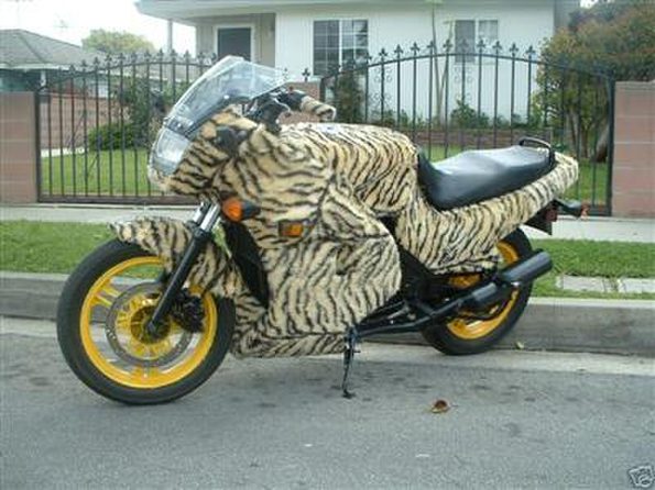 fur-motorcycle