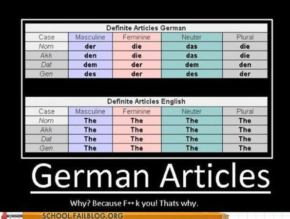 german-articles-and-you-thought-english-was-bad