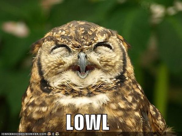 owl-laughs-out-loud