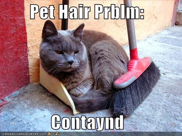 pet-hair-problem-is-contained