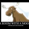 room-with-a-moose
