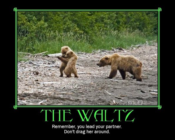 the-waltz