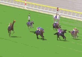 wierd-horse-race